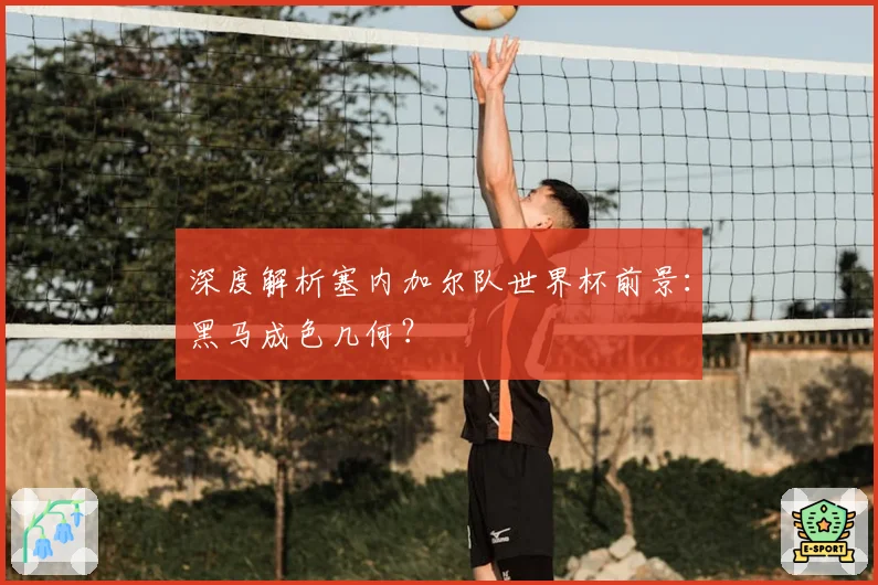 深度解析塞内加尔队世界杯前景：黑马成色几何？