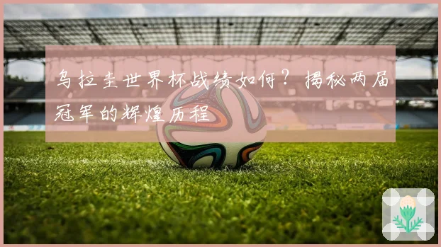 乌拉圭世界杯战绩如何？揭秘两届冠军的辉煌历程