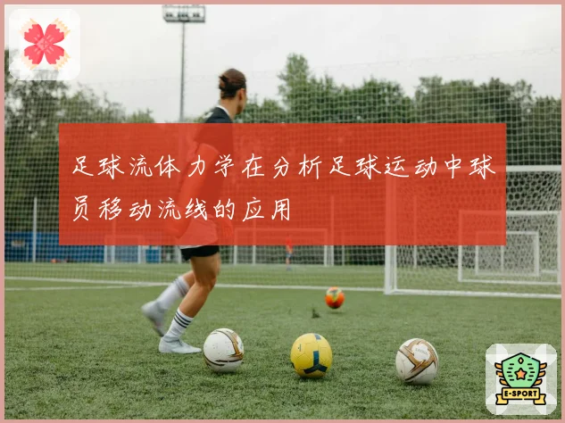 足球流体力学在分析足球运动中球员移动流线的应用