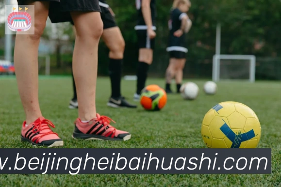 开云kaiyun网页版发展历程