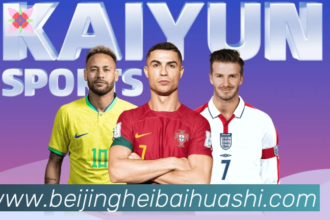 开云kaiyun网页版服务体系