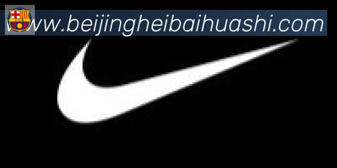 开云kaiyun网页版合作伙伴