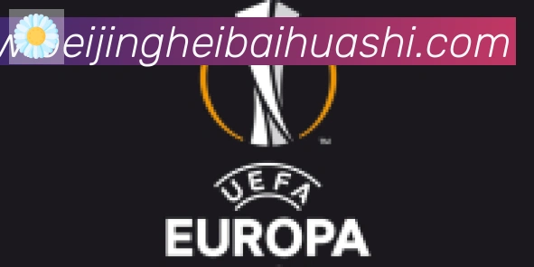 开云kaiyun网页版合作伙伴